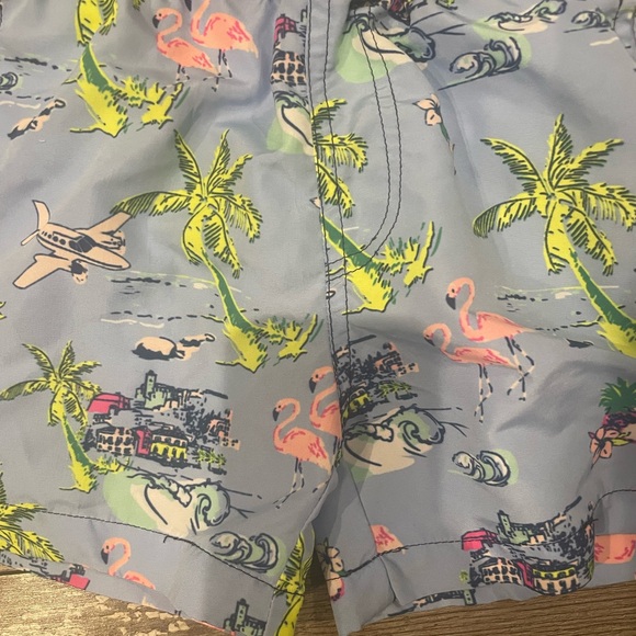 Boys Swim Trunks size 2T - Picture 4 of 11